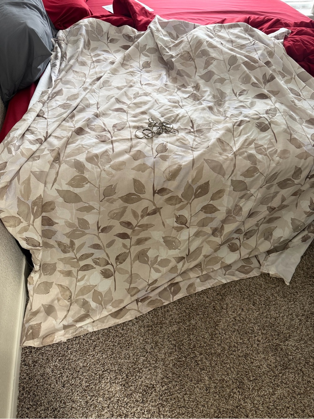Shower Curtain W/ Hooks